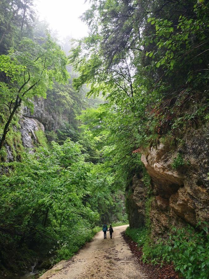 Mountain Lodge Rîşnov Exteriér fotografie