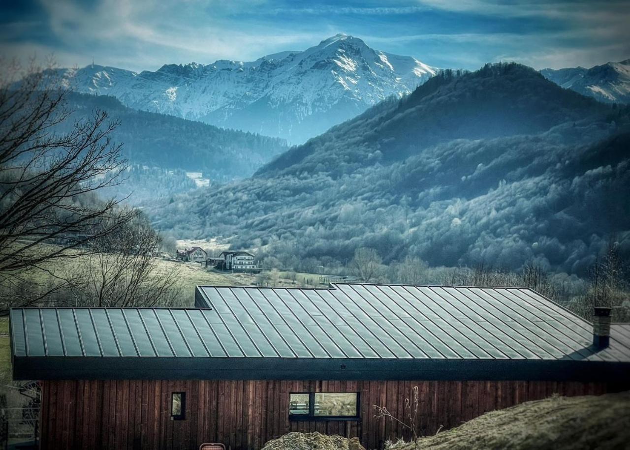 Mountain Lodge Rîşnov Exteriér fotografie